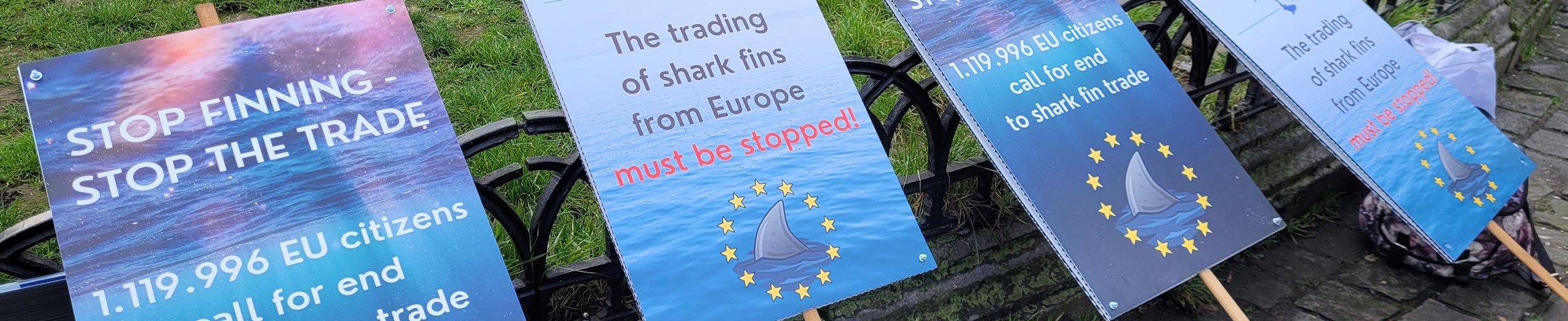 Shark Finning Finally Banned in the European Union