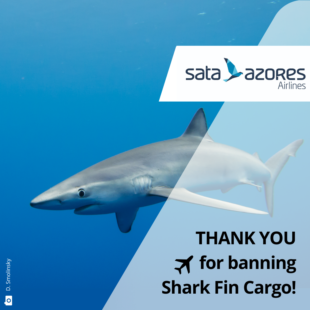 FLY WITHOUT FINS  Stop carriage of shark fins by airlines