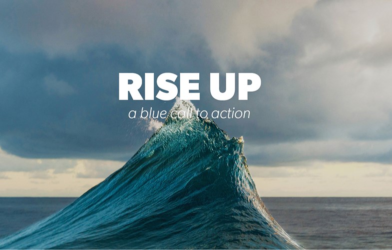 Rise Up  SHARKPROJECT