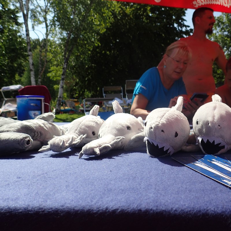 Haie am Sharkproject-Stand in der Therme Loipersdorf