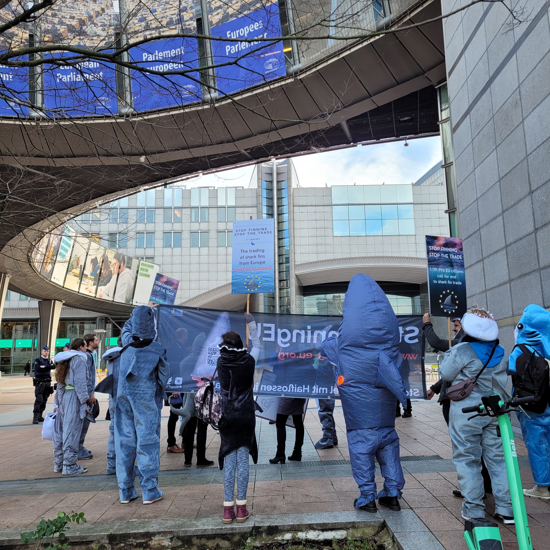 Mehrere als Haie verkleidete Menschen von hinten. Sie tragen ein Transparent mit der Aufschrift "Stop Finning EU". 