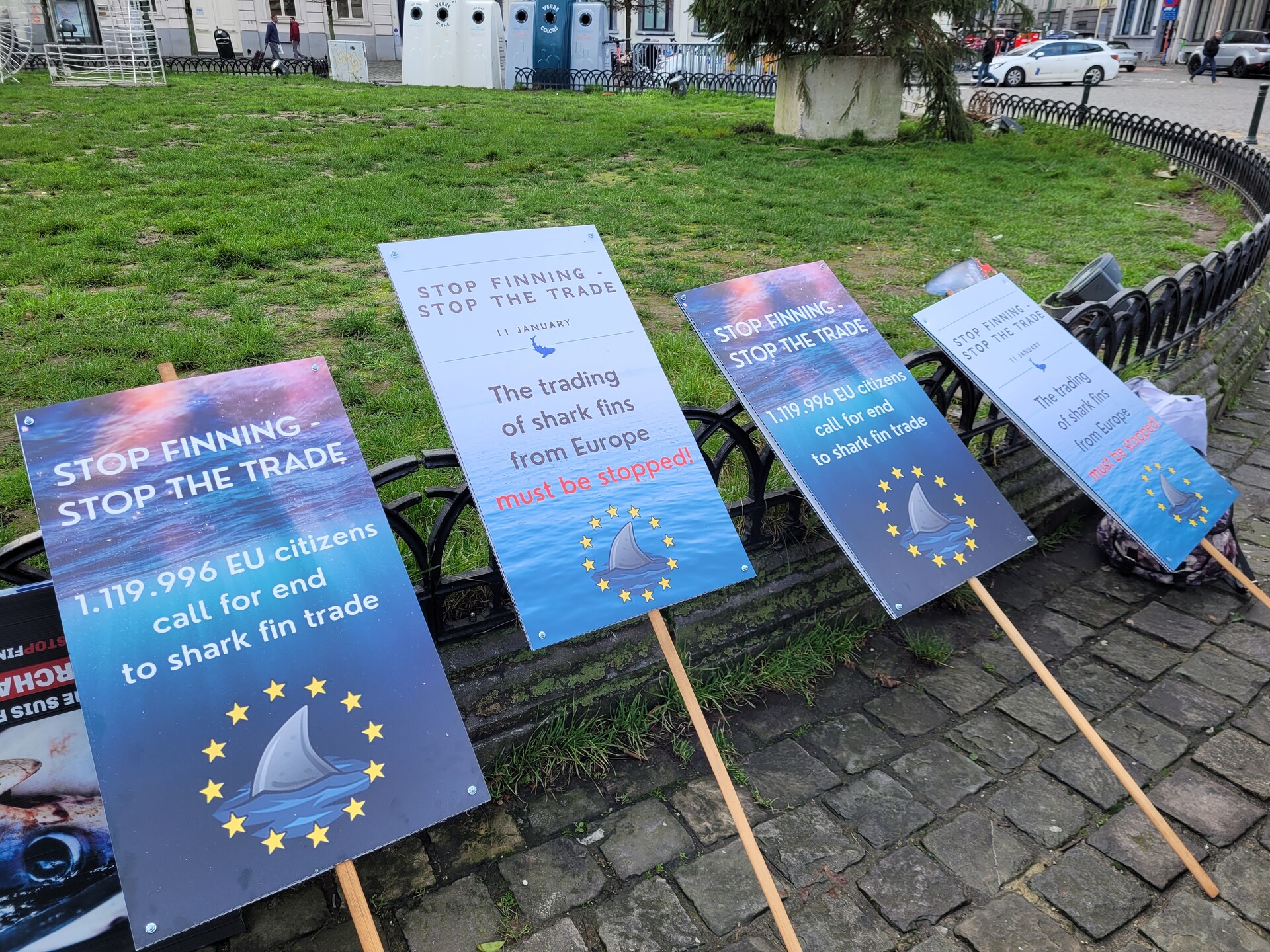 Mehrere Schilder mit der Aufschrift "Stop Finning - Stop the Trade" und zusätzlichen, knackigen Sprüchen und Fakten. 