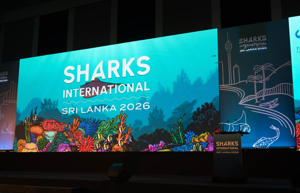 Sharks International 2026 Sri Lanka / Photo: Jan Bierwirth